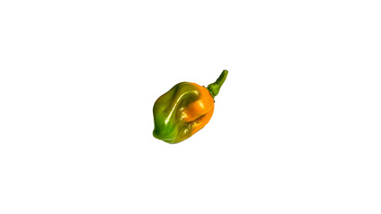 Chili Pepper PNG Isolated Spicy Chili with Transparent Background..