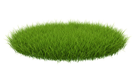Green Grass Plant Isolated Background Texture Lawn Field Garden