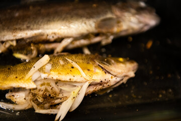 Rainbow trout and bass fish macro of wild caught Colorado freshwater animal cooked dinner in baking glass dish tray stuffed with vegetables