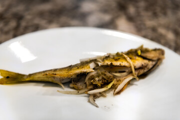 Colorado freshwater animal largemouth bass yellow fish macro of wild caught cooked dinner stuffed with vegetables on white plate