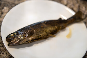 One rainbow trout wild caught Colorado freshwater animal macro closeup of cooked dinner stuffed with vegetables onions lemon on white plate