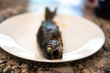 One rainbow trout wild caught Colorado freshwater animal macro of cooked dinner stuffed with...