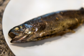 Rainbow trout one wild caught Colorado freshwater animal macro closeup of cooked dinner stuffed...