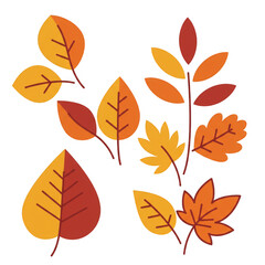 Illustration Autumn Foliage Leaves in Orange Brown on Transparent Background
