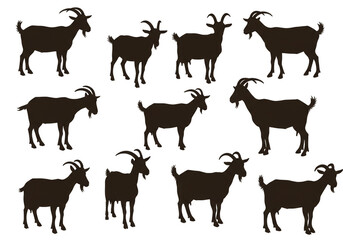 Illustration Goat Silhouette Pattern Many Animals Standing on Transparent