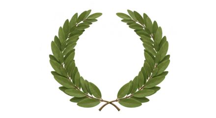Green Olive Laurel Wreath Symbol of Victory Transparent Background