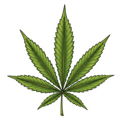 Green Cannabis Leaf Illustration Marijuana Hemp Medicine Nature Herb