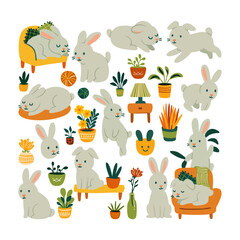 Cozy Rabbit in a Plant-Filled Home
