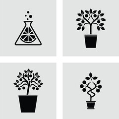 Citrus Tree & Science Potted Plants,  Botanical Illustrations,  Experiment Icons