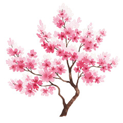 Fototapeta premium Illustration of a Pink Cherry Blossom Tree with Transparent Backdrop
