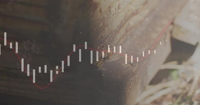 Audio triggered overlay rising and falling on weathered post while bee crawling visualizing sound