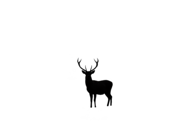 Illustration of Deer Silhouette with Antlers Isolated on Black Background