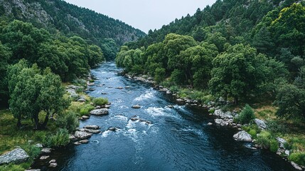 River winding through a lush green valley.