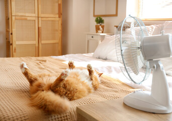 Funny cat and electric fan in bedroom © Pixel-Shot
