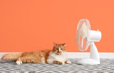 Funny cat and electric fan against orange wall