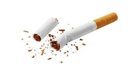 Isolated Cigarette Butts Close Up Ashes Nicotine Addiction Risk Still Life