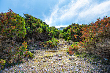 Ikaria island Greece empty footpath view of colorful multicolored red and green trees at trail back to Drakano Tower to St George beach and rocky peak