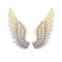 Obraz premium Illustration of White Angel Wings Feather Isolated on Transparent Background