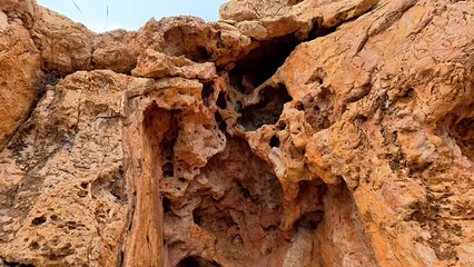 Explore stunning rock formations with intricate textures and earthy tones in a diverse natural landscape