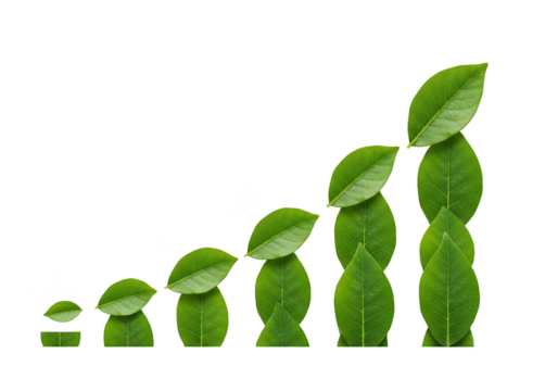 Isolated Illustration of Green Leaves Growth Chart on Transparent Background