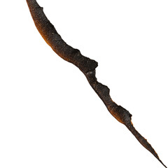 Obraz premium Isolated Abstract Glitter Gold Shimmer Background Texture Celebration Design