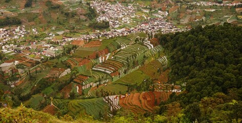 beautiful views of the countryside, terraces and hills taken from the top of the mountain