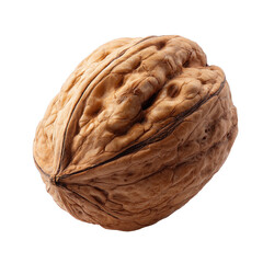 Fototapeta premium Close-up View of a Single Walnut