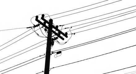 Isolated Electrical Power Lines Cable on Transparent Background