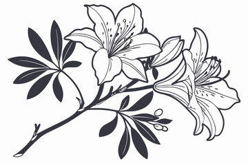 Azalea Vector Silhouette, Azalea flower silhouette clipart isolated on a white background