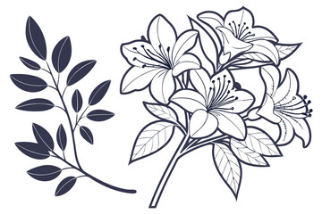 Azalea Silhouette Graphic for Printing and Design
