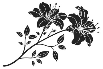 Black and White Azalea Flower Design Elements