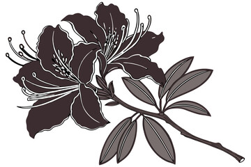 Black Azalea Flower Vector Design