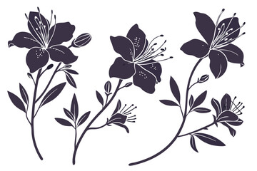 Elegant Azalea Silhouette Clipart Collection