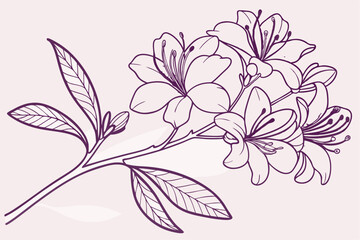 Vector art


Floral Azalea Silhouette Illustration

