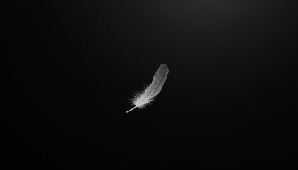 Soft white feather elegantly rests on a stark black background, evoking themes of peace and minimalism