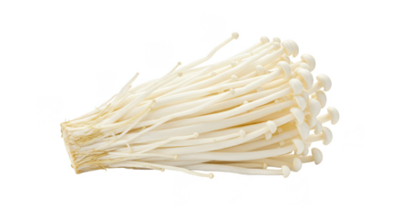 Isolated Close Up Enoki Mushroom Bundle Vegetable White Transparent