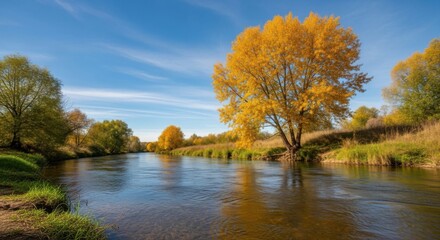 Vibrant Autumn Trees Reflecting in a Gently Flowing River Under a Bright Blue Sky