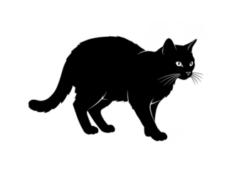 Isolated Illustration of Black Cat Silhouette Domestic Feline Mammal Pet