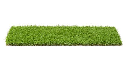 Isolated Square Green Grass Patch Lawn Turf Summer Outdoor Garden