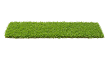 Isolated Square Green Grass Patch Lawn Turf Summer Outdoor Garden