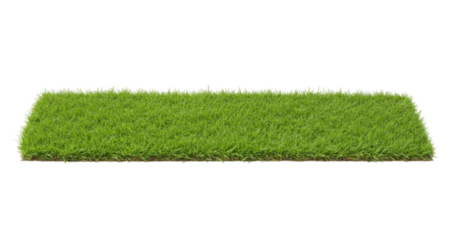 Isolated Square Green Grass Patch Lawn Turf Summer Outdoor Garden