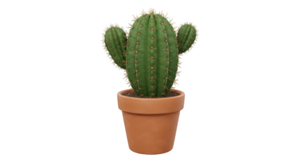 Isolated Potted Green Cactus Plant with Brown Pot Transparent Background