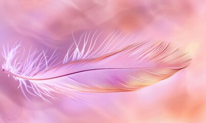 Single feather on soft gradient background creates ethereal abstract art