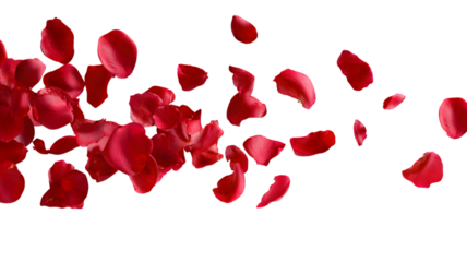 Love's embrace with falling red rose petals and glistening blood drops, a romantic symbol for Valentine's Day