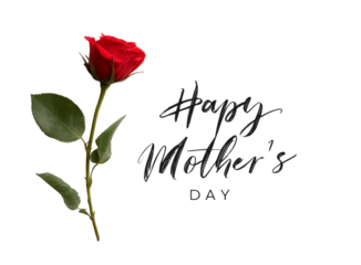 Beautiful red rose with green leaves for Mother's Day celebration, perfect for greetings and messages conveying love and appreciation for mothers and caregivers