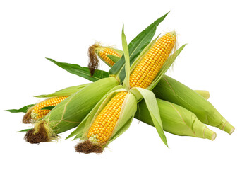 Isolated Stack of Yellow Corn Cobs with Green Husks in PNG Format