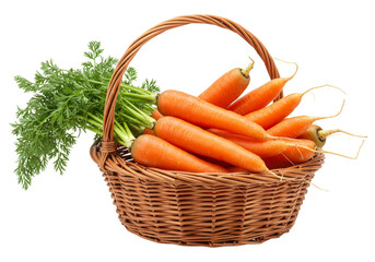 Isolated Transparent Basket Full of Fresh Organic Orange Carrots PNG