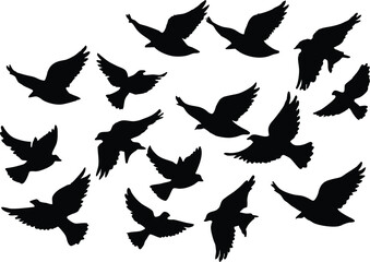 Flock of flying birds silhouette, Flying birds silhouettes on white background