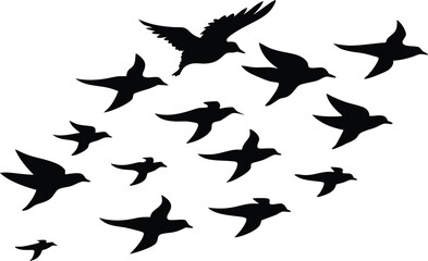 Flock of flying birds silhouette, Flying birds silhouettes on white background