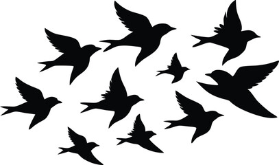 Flock of flying birds silhouette, Flying birds silhouettes on white background